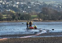 Dawlish coastguards tackle mud rescues training