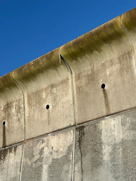 Black filler material has been coming from Dawlish sea wall. Photo Rosie Dawson 