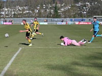 One attacker in, one out at Homers Heath