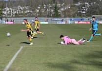 One attacker in, one out at Homers Heath