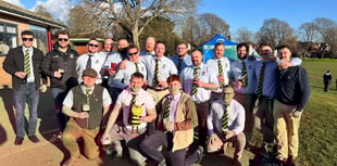 Wasps enjoy a convincing victory in Brighton