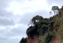 Shaldon cliff fall: safety measures in place