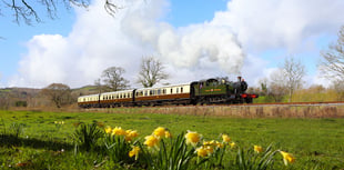 Hands on experience with the age of steam