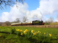 Hands on experience with the age of steam