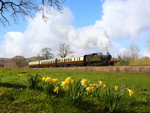 Hands on experience with the age of steam