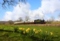 Hands on experience with the age of steam