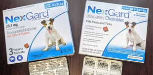 Vet warns pet owners of fake medicines