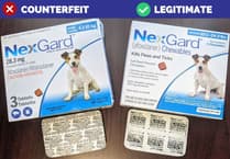 Fake medication warning for pet owners