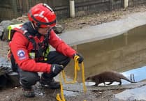 Rescue team's lifesaving idea is otter this world