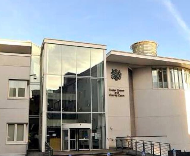 Man admits attacking two people 