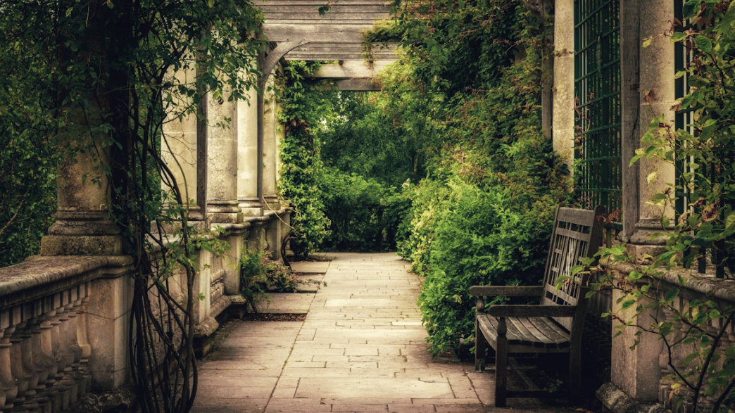 Community spirit shines as Open Garden event raises record total