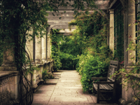 Community spirit shines as Open Garden event raises record total
