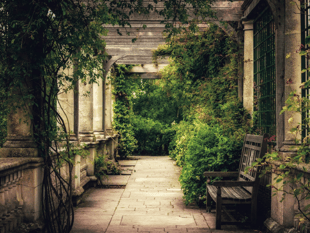 Community spirit shines as Open Garden event raises record total