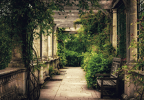 Rowcroft’s Open Gardens bloom again for 2026