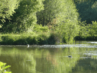 Devon sets out long-term plan to help nature recover