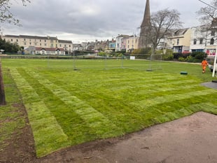 Lawn restoration begins after SWW disruption