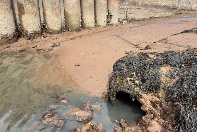 Source of sewage spill identified 