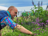  Enjoy your gardening with new county show feature