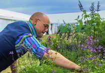 Enjoy your gardening with new county show feature