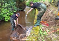Volunteers remove mattress dumped in waterway