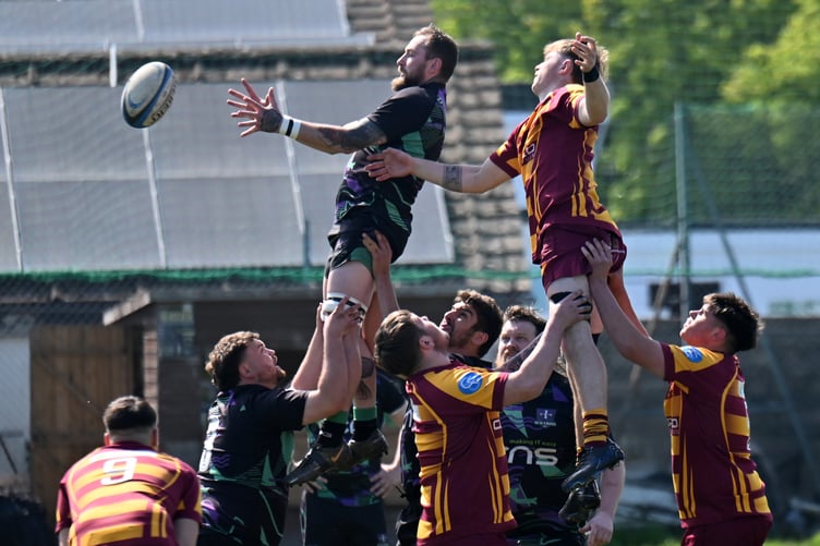 Rugby. Counties3 Tribute Ale Division North & East. New Cross versus Okehampton 2nd XV