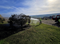 'Take a picnic', says fire crew after Top Tor disposable BBQ fire 