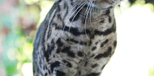 Zoo celebrates achieving major milestone 