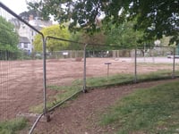 Trees to be assessed after SWW work 