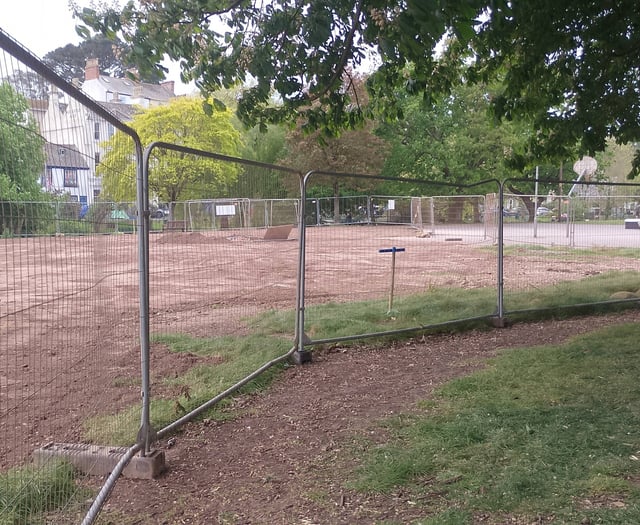 Trees to be assessed after SWW work 