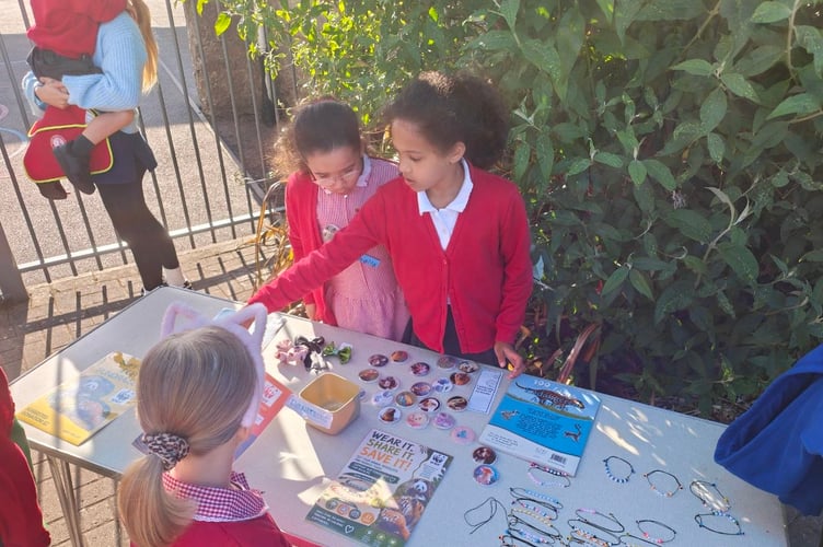 Pupil's fundraising stall at Shaldon Primary School