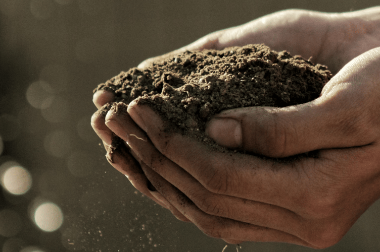 Composting stock image 