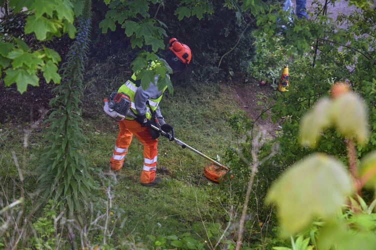 One of Teignmouth's guerilla gardeners at work
