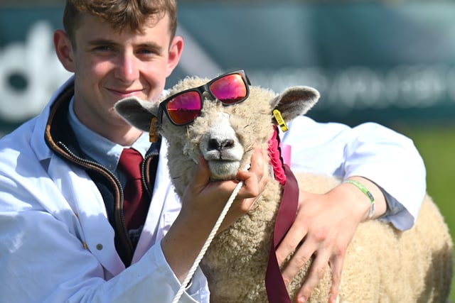 Things are hotting up at the Devon County Show