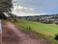 Council adopts 'bold' Local Plan 
