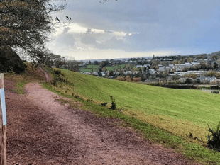 Council adopts 'bold' Local Plan 