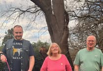 Teignbridge urged to shout about care