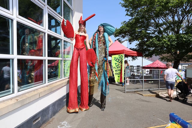 Environment festival's cool theme amid record heatwave