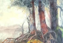 Haldon Traces art exhibition in Teignmouth