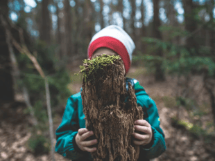 School's bid to keep outdoor learning space