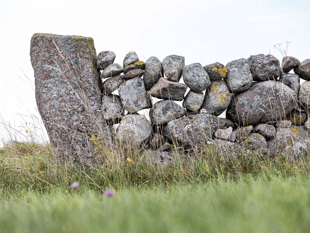 Ellwood Classic set for Dartmoor debut this summer