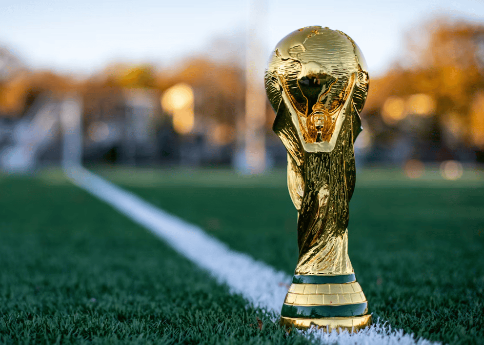 fans-across-devon-encouraged-to-support-each-other-during-world-cup