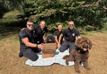 Devon firefighters urge picnics over barbecues amid wildfire risk
