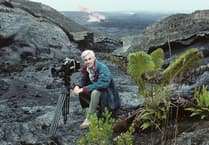 Wildlife filmmaker's museum show