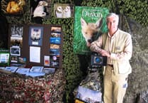 Leading BBC wildlife filmmaker to stage free exhibition at Newton Abbot Museum