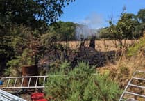 Newton Abbot crews called to ‘well-developed’ vegetation fire
