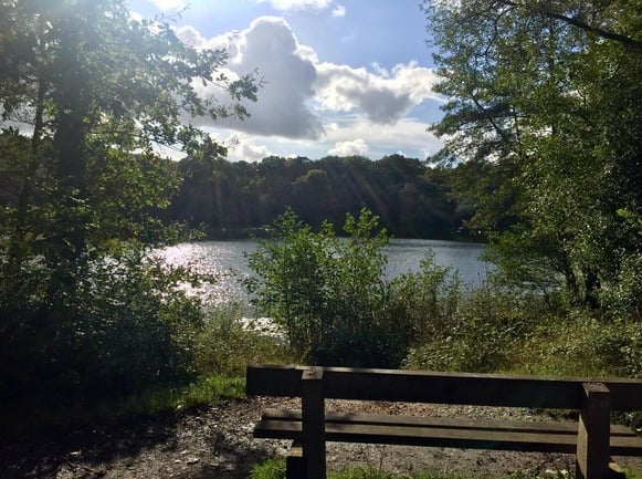 Decoy Country Park. Photo Karen Trewern Walk This Way leader.
