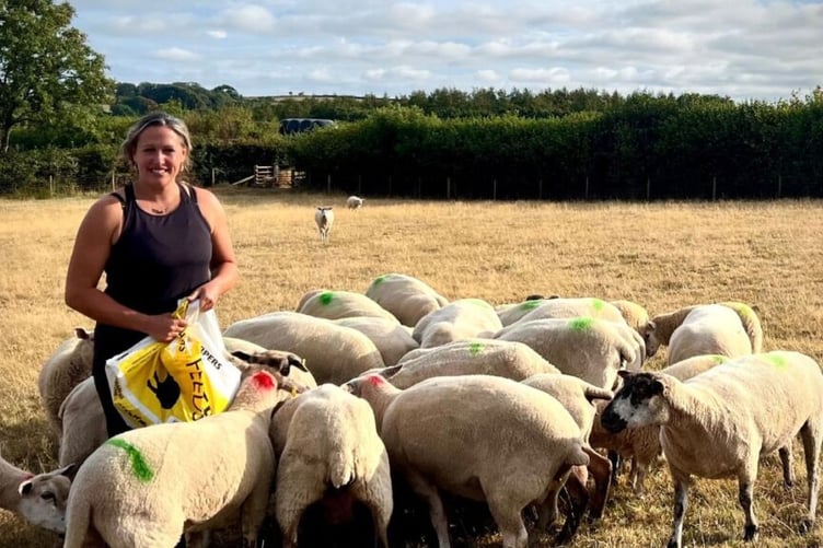 Councillor Cheryl Cottle-Hunkin with her sheep