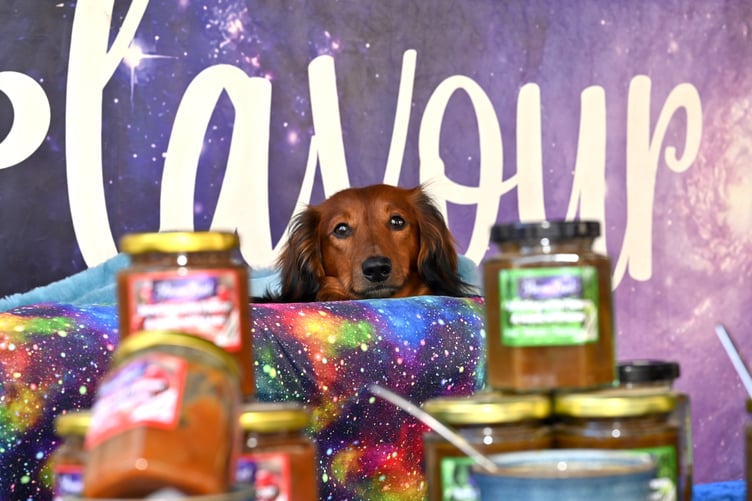 Moretonhampstead Food Festival. Master of all he surveys - Ludo heeps an eye on the products from Newton Abbot-based Flavour Burst