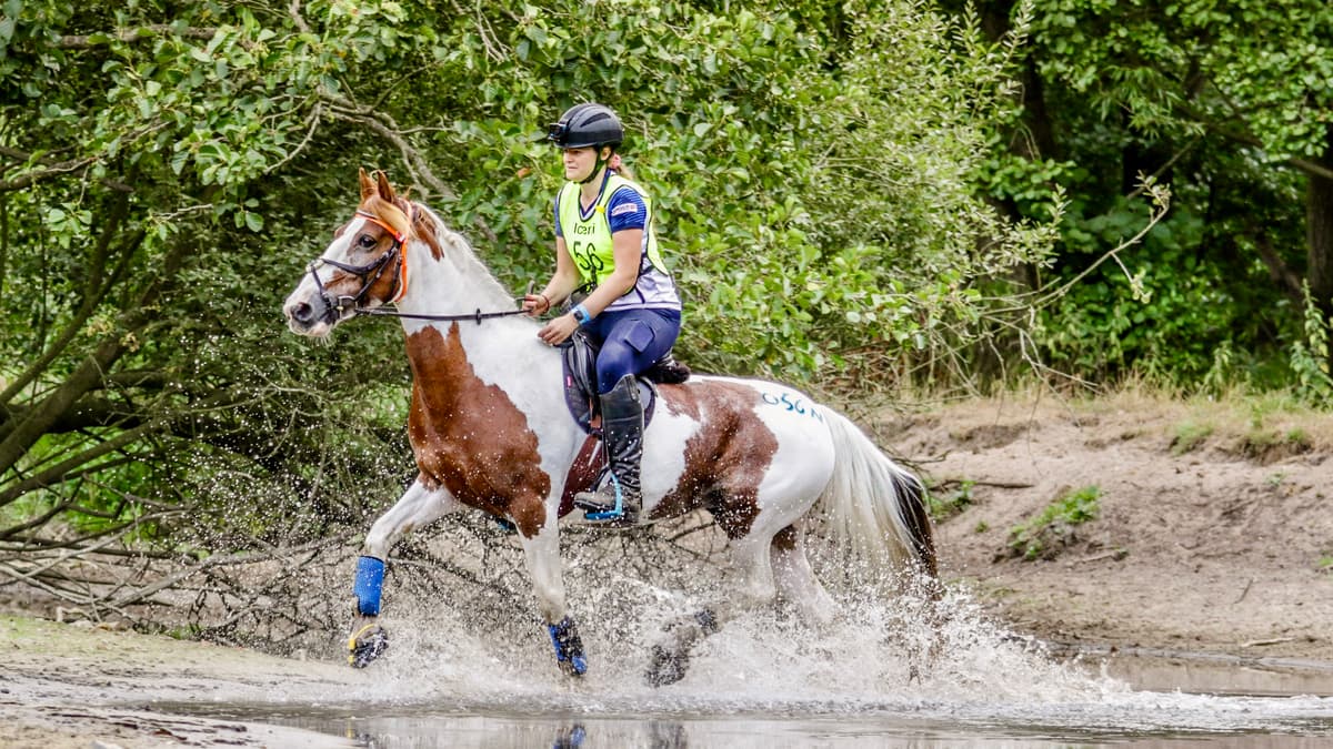 Bovey rider selected for top endurance event