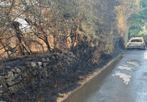 Fire damages fields and 100 metres of hedgerow near Moretonhampstead